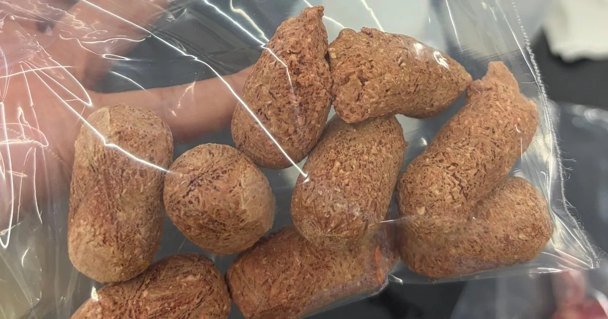 ジッパー付きの袋に入っためちゃマウス。茶色い棒状の固形物が入っている